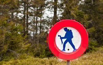 В Беларуси запретили популярную лапшу быстрого приготовления