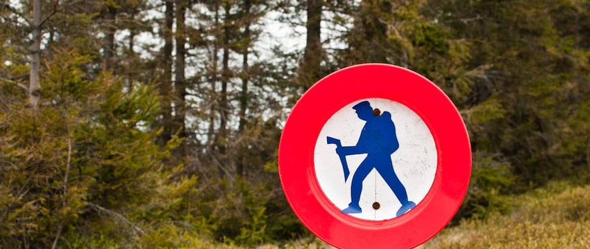 В Беларуси запретили популярную лапшу быстрого приготовления