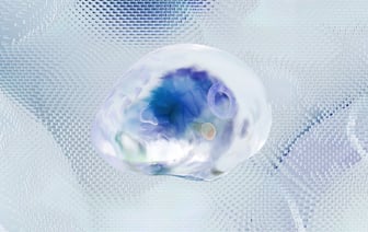 В Бундестаге призвали правительство рассекретить расследование о происхождении Covid-19