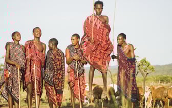 Огромное стадо зубров увидели у трассы и сняли на видео