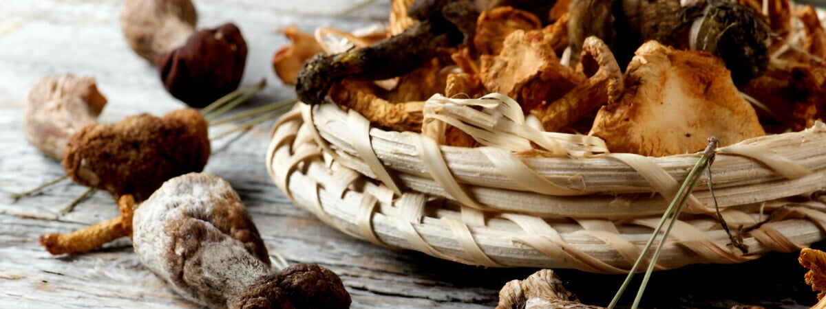 Эти виды грибов не следует сушить. А что насчёт старых и чуть-чуть червивых? — Полезно