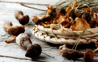 Эти виды грибов не следует сушить. А что насчёт старых и чуть-чуть червивых? — Полезно