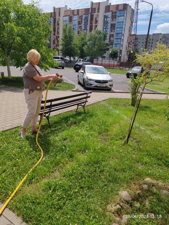 В Бресте объявлена экологическая акция «Полей дерево»