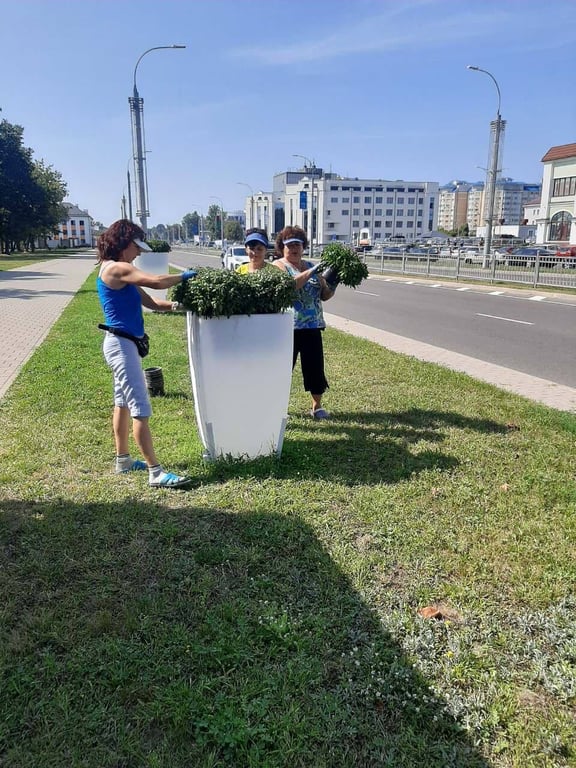 В Бресте специалисты ПКУП «Коммунальник» начали высадку осенних цветов
