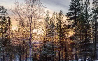 Финляндию в очередной раз признали самой счастливой страной мира