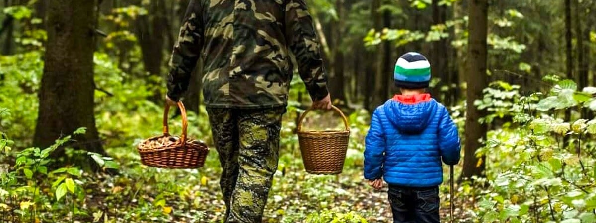 Минздрав Беларуси запретил собирать конкретные грибы. Какие, и что с ними не так? — Полезно