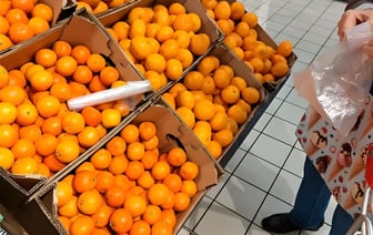 Вы больше никогда не купите кислые мандарины с косточками. Обратите внимание на эти 6 признаков — Полезно