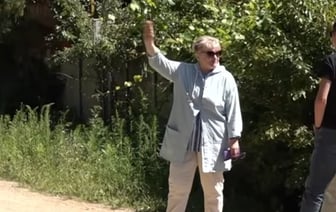 «Недавно напали на мужчину, а зимой — загрызли косулю». Стая бродячих собак держит в страхе несколько садовых товариществ