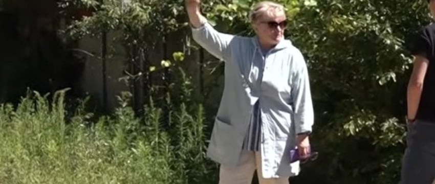 «Недавно напали на мужчину, а зимой — загрызли косулю». Стая бродячих собак держит в страхе несколько садовых товариществ