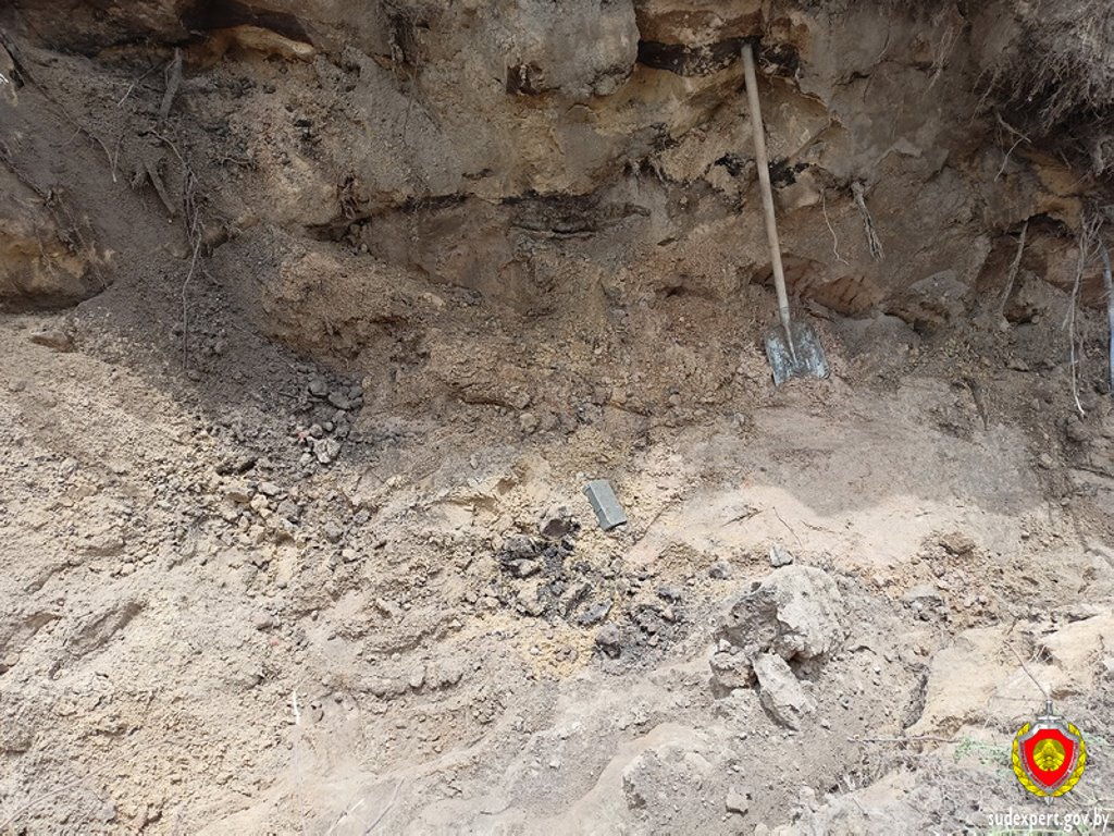 В Брестской крепости обнаружены патроны и костные останки