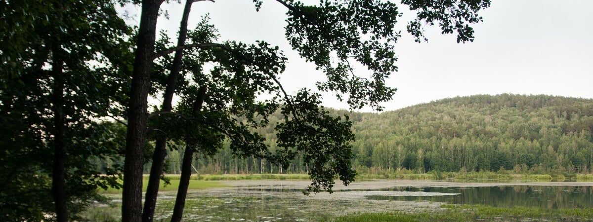 Загородные курорты и курортные санатории Гродно: где отдохнуть и поправить здоровье