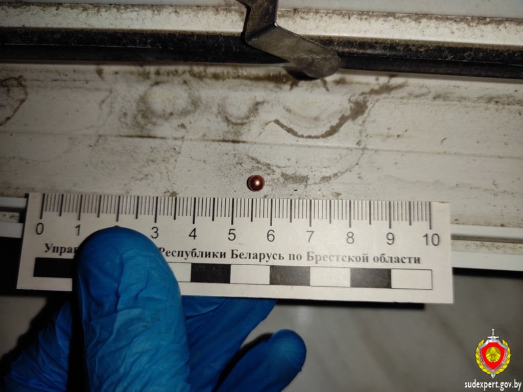 Брестчанин отрабатывал навыки стрельбы на окнах чужой квартиры