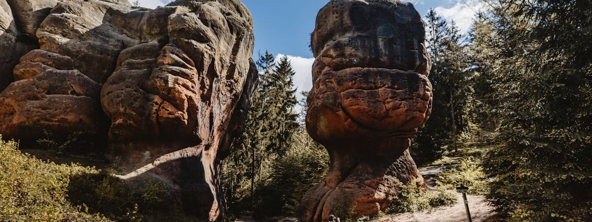 Проверки на границах Германии будут продолжаться еще очень долго