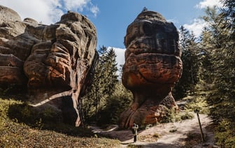 Проверки на границах Германии будут продолжаться еще очень долго