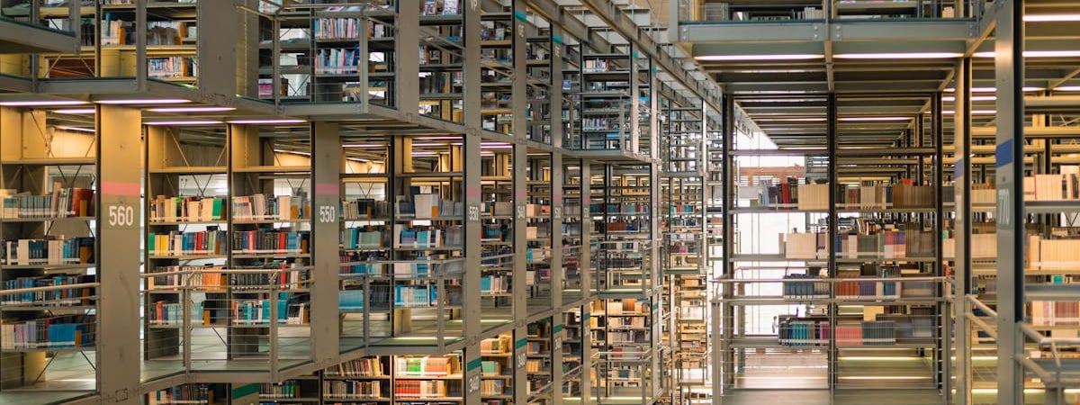 Соцсети в Беларуси не блокируют, так как там могут работать государственные СМИ