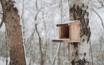 Украина стала полноправной участницей Римского статута МУС