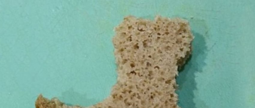 Три странных товара на Куфаре: телефон за 100 млн, ядовитый паук и хлеб зубной работы