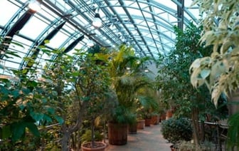 От тропиков до знойной пустыни. Вот какие самые необычные растения есть в Зимнем саду в Бресте