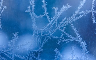 Не зимний декабрь. Какую погоду прогнозируют синоптики на неделе?