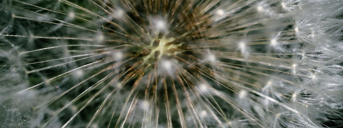 Венгрия непублично заняла у китайских банков рекордный €1 млрд