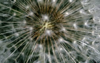 Венгрия непублично заняла у китайских банков рекордный €1 млрд