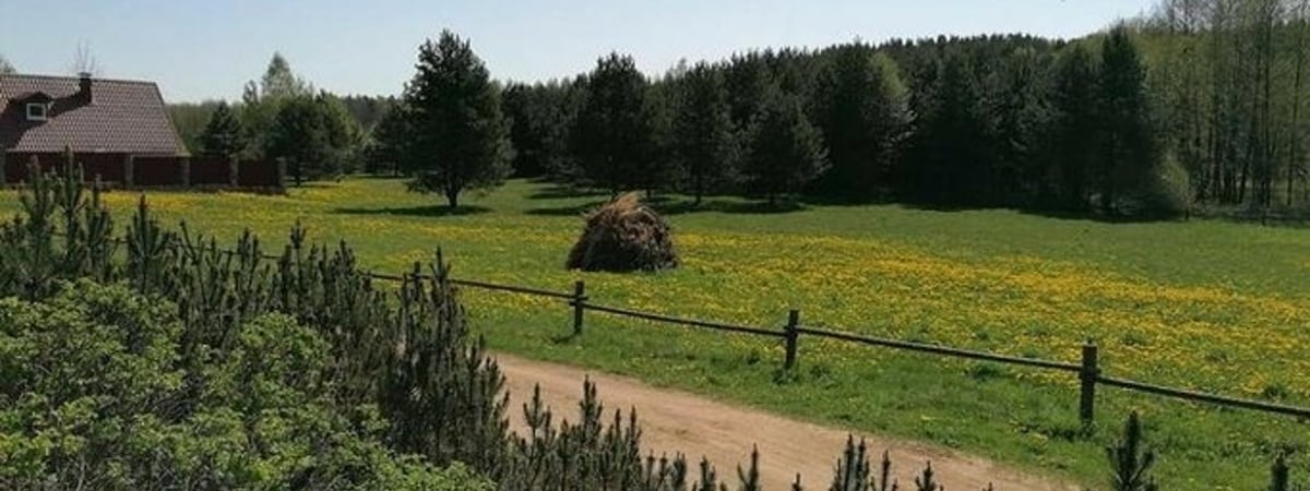 Власти продали конфискованный участок Виктора Бабарико