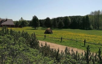 Власти продали конфискованный участок Виктора Бабарико