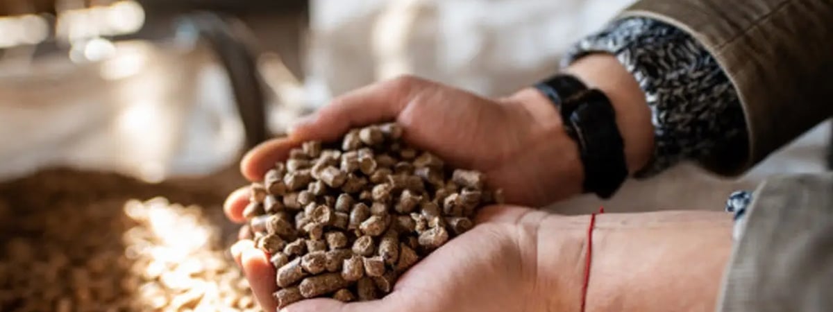 Минус 20%. Минлесхоз снизил цены на топливные пеллеты для белорусов — Официально