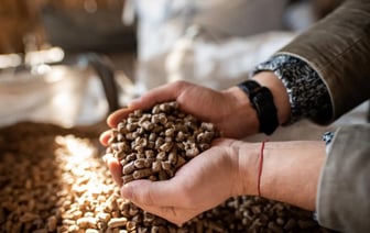 Минус 20%. Минлесхоз снизил цены на топливные пеллеты для белорусов — Официально