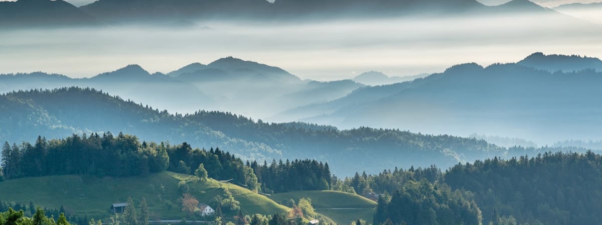 Еврокомиссия объявит повышение пошлин на агропродукцию из РФ и Беларуси