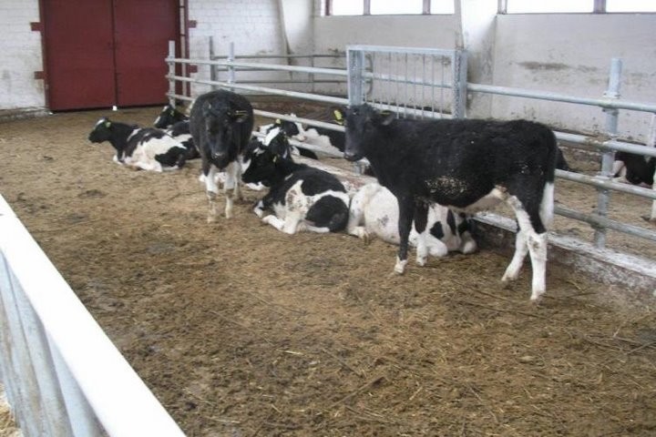 Фото из открытых источников (иллюстративное)