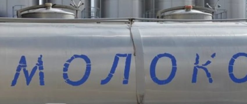 Беларусь входит в топ-3 стран с самым дешевым молоком