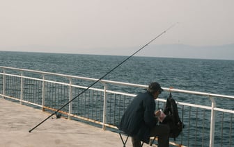 «Ни в лес сходить, ни покупаться» — На озере под Витебском заметили животное, похожее на медведя — Видео