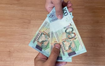 «Порядка 100 рублей в день» — Минчан позвали на сезонную подработку. Что надо делать?