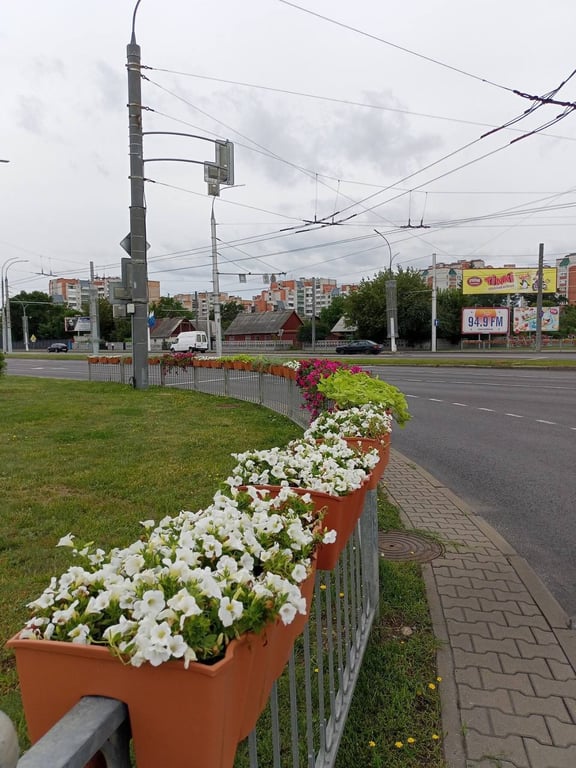 Специалисты ПКУП «Коммунальник» украсили Брест цветами