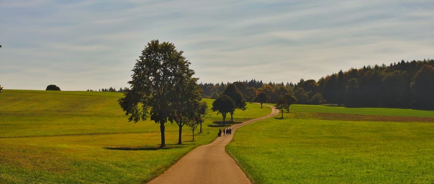 Аб’яднаны пераходны кабінет абвясціў 2024 год Годам беларускай нацыянальнай традыцыі