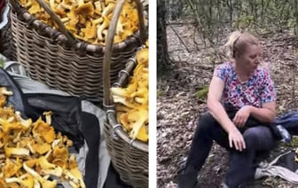 Белоруска набрала гигантское количество грибов. Она похвасталась в TikTok, что не может донести их до машины и теперь придется прятать в лесу