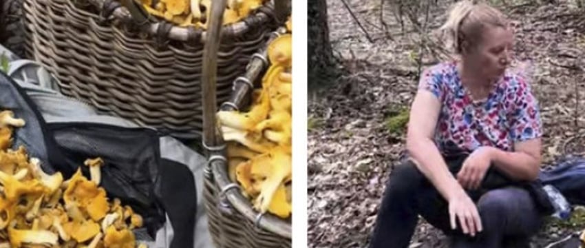 Белоруска набрала гигантское количество грибов. Она похвасталась в TikTok, что не может донести их до машины и теперь придется прятать в лесу