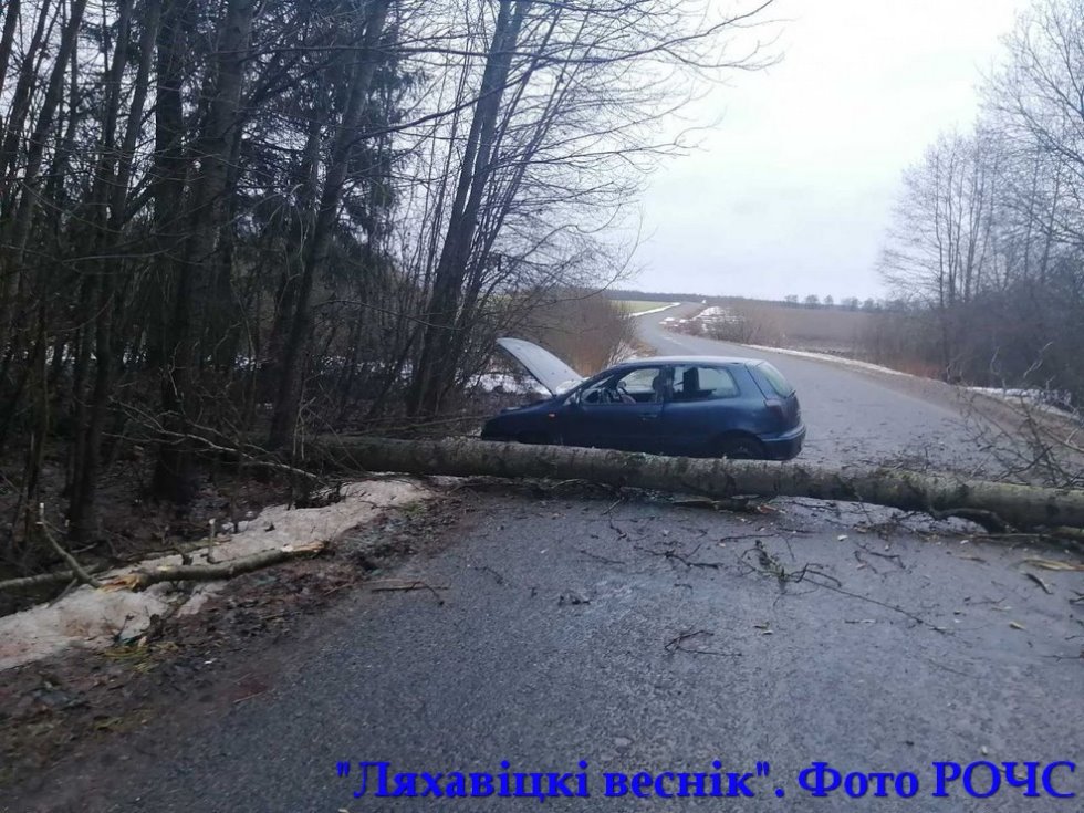 Дерево упало на проезжающий автомобиль под Ляховичами