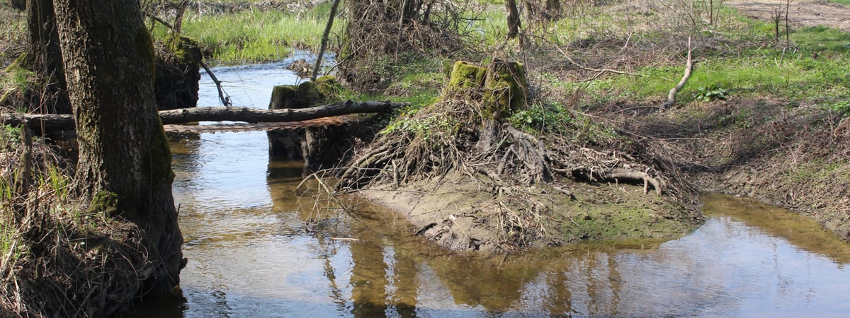 Малооблачно и +30 — погода в Гродно на выходные
