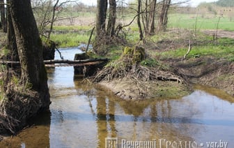 Малооблачно и +30 — погода в Гродно на выходные