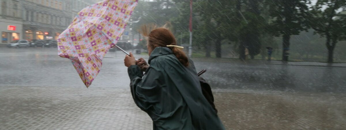 «Первое арктическое вторжение пережили» — Синоптики предсказали белорусам «обильные» дожди и «неприятненький ветерок». Когда?