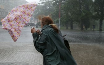 «Первое арктическое вторжение пережили» — Синоптики предсказали белорусам «обильные» дожди и «неприятненький ветерок». Когда?