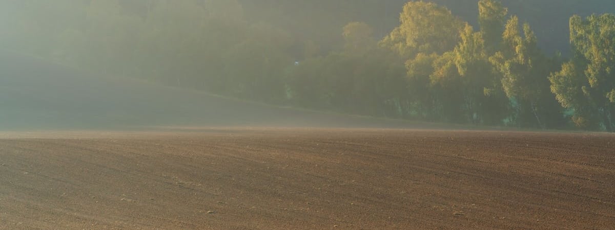 Въезда в ЕС из Беларуси ожидают 220 легковушек и 35 автобусов