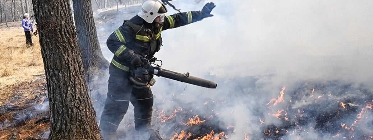 Минлесхоз призвал белорусов не бросаться сразу же тушить пожар. Что попросили сделать в первую очередь?