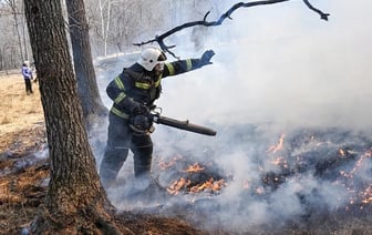Минлесхоз призвал белорусов не бросаться сразу же тушить пожар. Что попросили сделать в первую очередь?