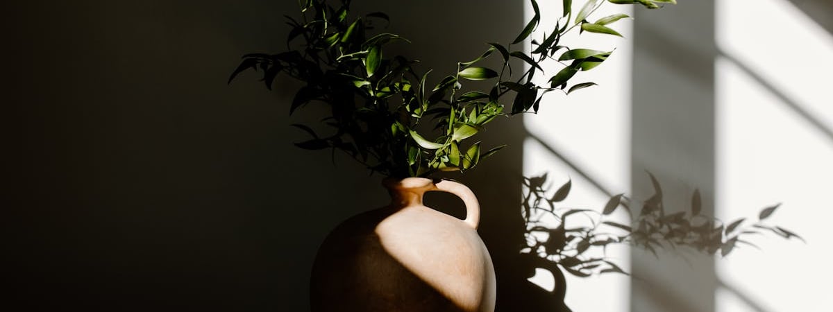 BMW и Toyota будут вместе разрабатывать электромобили на водороде