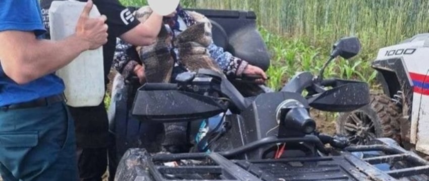 Пропавшую жительницу Ляховичского района нашли в кукурузном поле