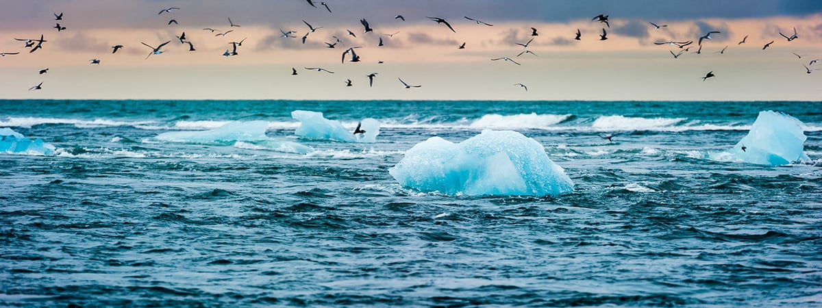 «Температура может упасть на 30 градусов» — Ученые предупредили о мировом климатическом коллапсе