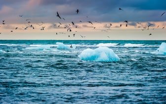 «Температура может упасть на 30 градусов» — Ученые предупредили о мировом климатическом коллапсе